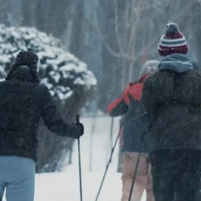 A group of people seen from behind, cross-country skiing on a path through a wooded area during a heavy snowfall.